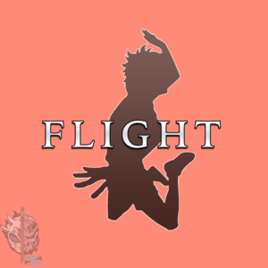 Flight - Divide Music