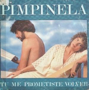 Tú Me Prometiste Volver - Pimpinela