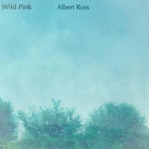 Albert Ross (Acoustic Version) - Wild Pink