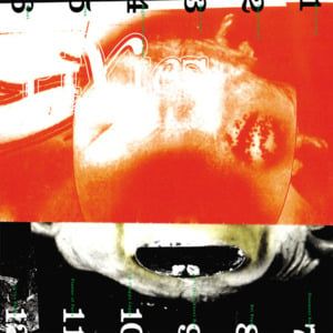 Head Carrier - Pixies