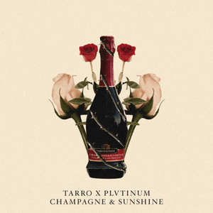 Champagne & Sunshine - PLVTINUM & Tarro