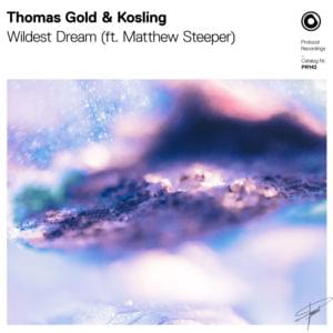 Wildest Dream - Thomas Gold & Kosling (Ft. Matthew Steeper)