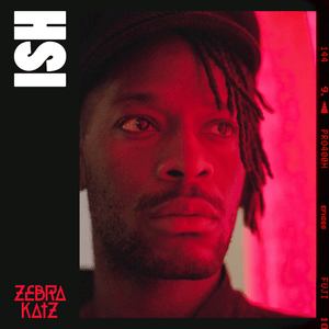 ISH - Zebra Katz