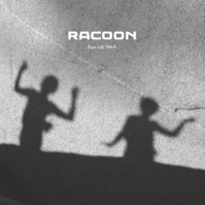 Fun We Had - Racoon