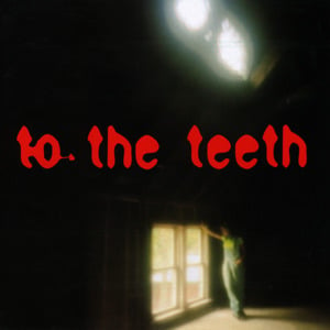 To The Teeth - Ani DiFranco