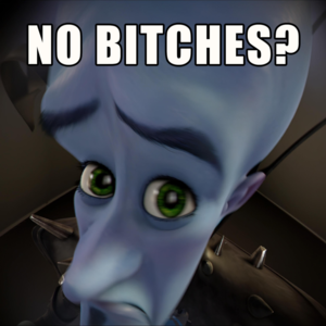 No Bitches? - AgusFortnite2008