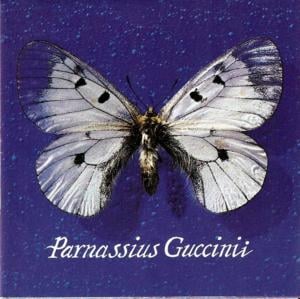 Canzone Per Silvia - Francesco Guccini