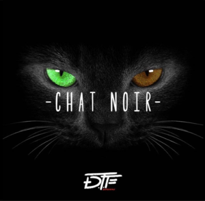 Chat noir - DTF