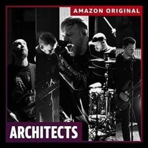 Animals (Amazon Original) - Architects