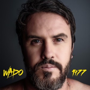 Palavra Escondida - Wado (Ft. Marcelo Camelo)