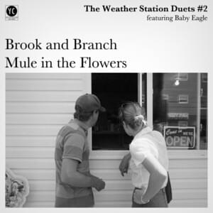 Brook and Branch - The Weather Station (Ft. Baby Eagle)