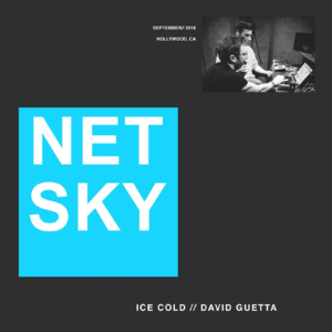 Ice Cold - Netsky & David Guetta