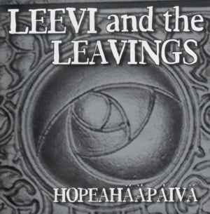 Liikaa sanoja - Leevi And The Leavings