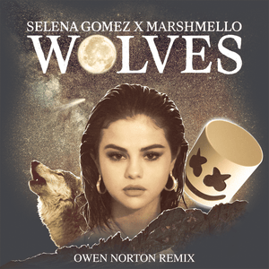 Wolves (Owen Norton Remix) - Selena Gomez & Marshmello