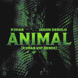 Animal (R3HAB VIP Remix) - R3HAB & Jason Derulo