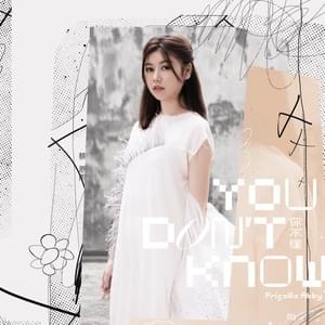 你不懂 (You Don’t Know) - Priscilla Abby