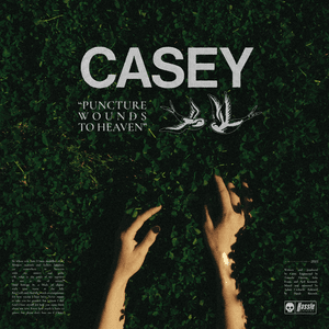 Puncture Wounds to Heaven - Casey