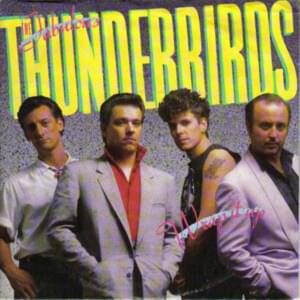 Wrap It Up - The Fabulous Thunderbirds