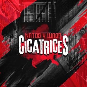 Cicatrices - Natos y Waor