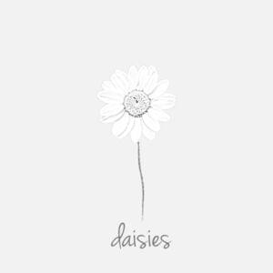 Daisies - Jessica Baio