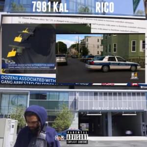 Rico - 7981 Kal