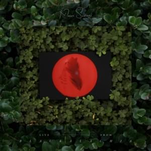 In Bloom (in the woods) - Moses Sumney