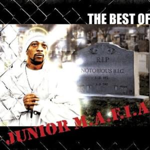 Teflon Don - Junior M.A.F.I.A.