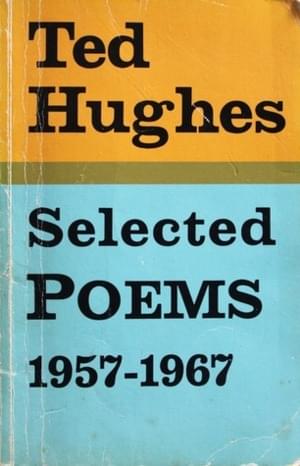 Skylarks - Ted Hughes