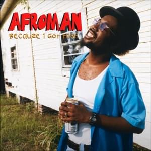 Because I Got High - Afroman