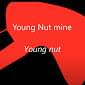 Young Nut Mine - YungFudgeStripes