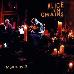 Would? (Unplugged) - Alice in Chains