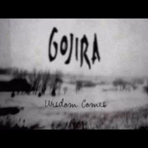 Locked in a Syndrom - Gojira