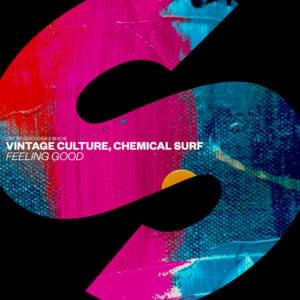 Feeling Good - Vintage Culture & Chemical Surf