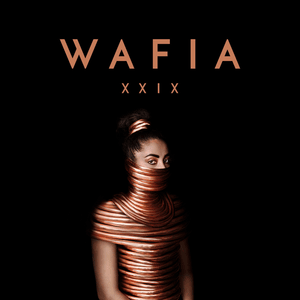 Fading Through - Wafia (Ft. Vancouver Sleep Clinic)