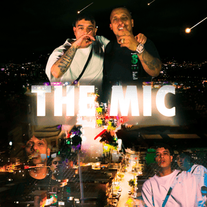 The Mic - Many 14388$ & ZetaZeta