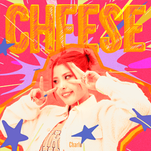 Cheese - Charlu