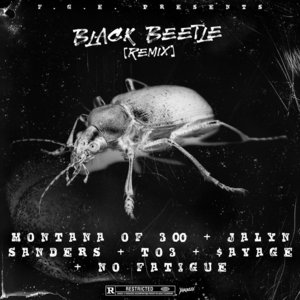 Black Beatles Remix - Montana of 300 (Ft. Jalyn Sanders, No Fatigue, $avage of FGE & Talley Of 300)