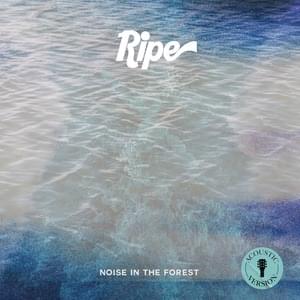 Noise in the Forest - Acoustic Version - Ripe