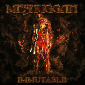 God He Sees in Mirrors - Meshuggah