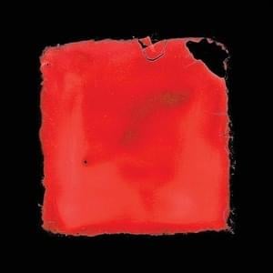 last chance to see - salvia palth