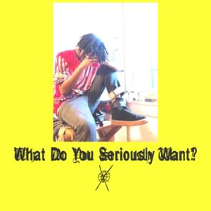 WHAT DO YOU SERIOUSLY WANT? - Sybyr