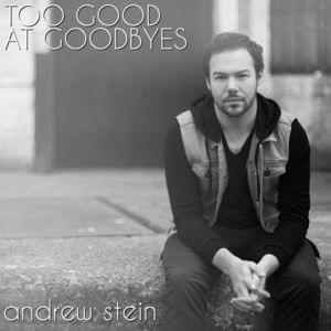 Too Good at Goodbyes - Andrew Stein