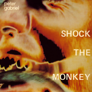 Shock the Monkey - Peter Gabriel