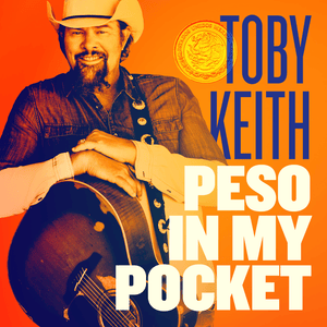 Take a Look at My Heart - Toby Keith