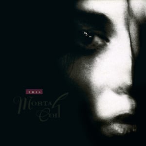 Tarantula - This Mortal Coil