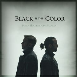 Black is the Color of My True Love’s Hair - Peter Hollens (Ft. Avi Kaplan)