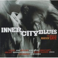 Inner City Blues (Make Me Wanna Holler) - Nona Gaye