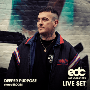 ID2 (from Deeper Purpose at EDC Las Vegas 2023: Stereo Bloom Stage) [Mixed] - ID