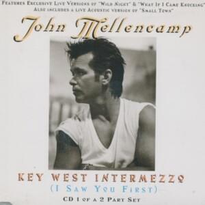 Like a Rolling Stone (Live) - John Mellencamp