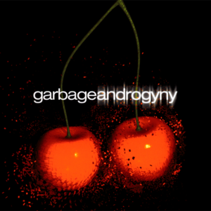 Androgyny (The Neptunes Remix) - Garbage